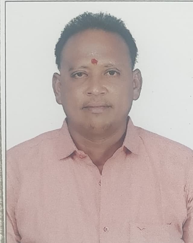 Pandi.v — photo