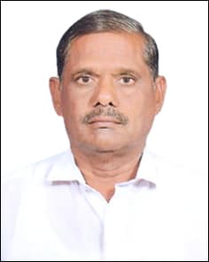 V.pandi — photo